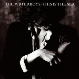 cover of This Is The Sea