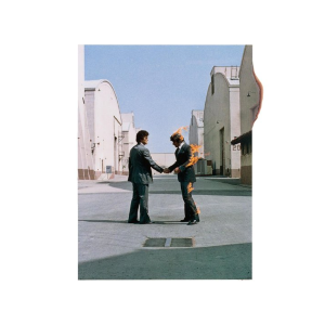 cover of Wish You Were Here